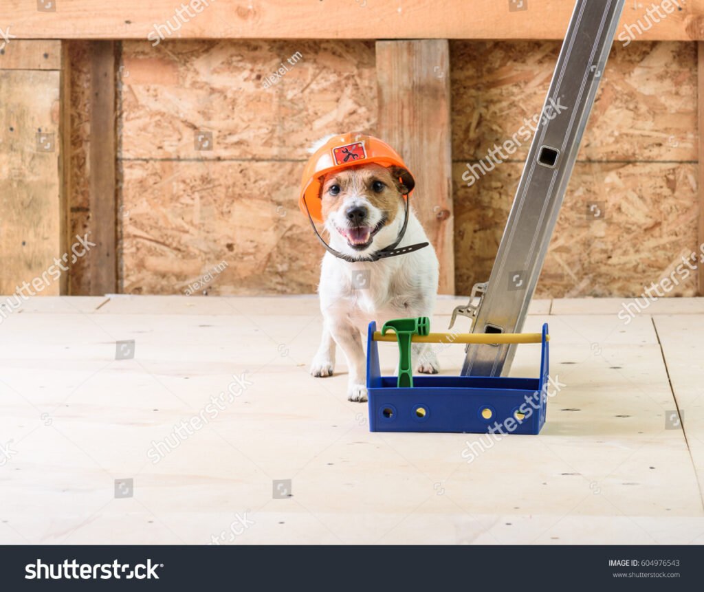 stock photo dog with toolbox in hard hat at under construction site 604976543